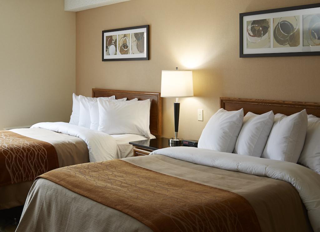 Comfort Inn East Moncton Kültér fotó