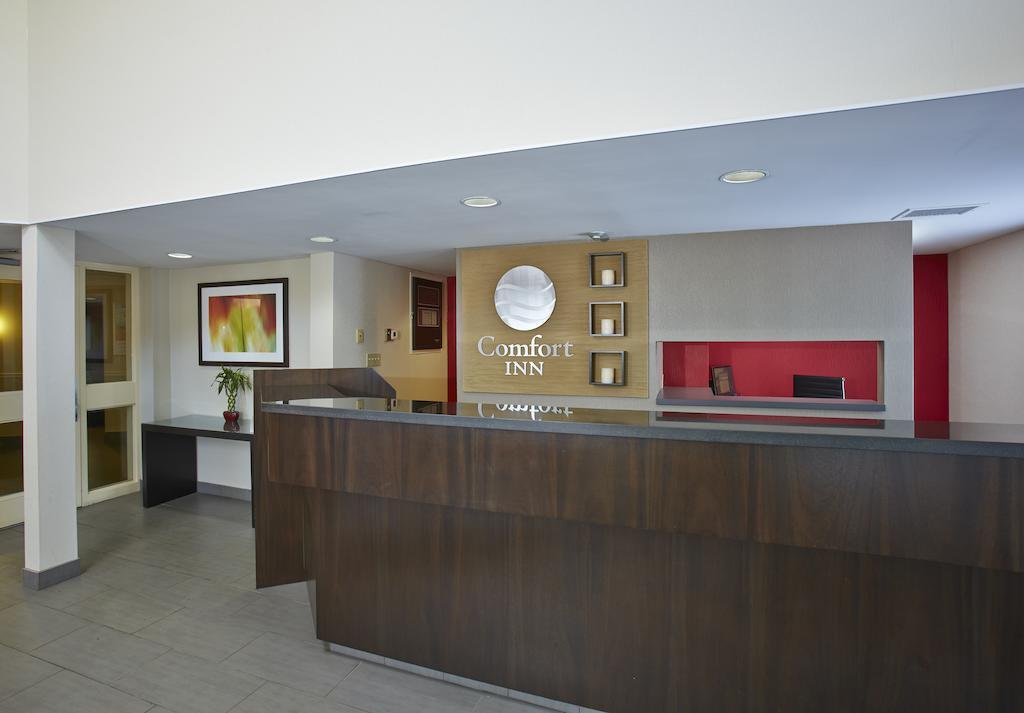 Comfort Inn East Moncton Kültér fotó